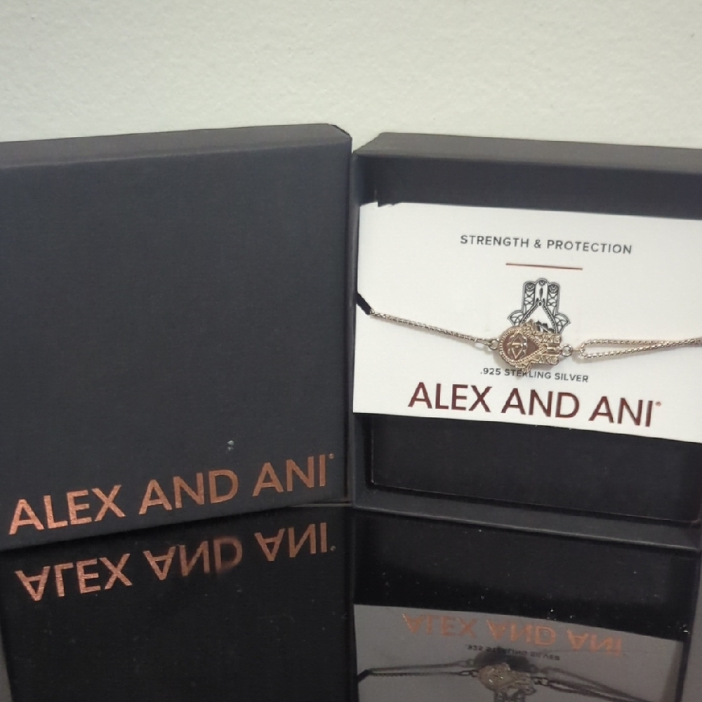 Alex and Ani Silver Bracelet with Charm